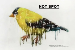 Hot Spot. Caring for a burning world | Galleria Nazionale d'Arte Moderna e Contemporanea, Viale delle Belle Arti, 131 - Roma